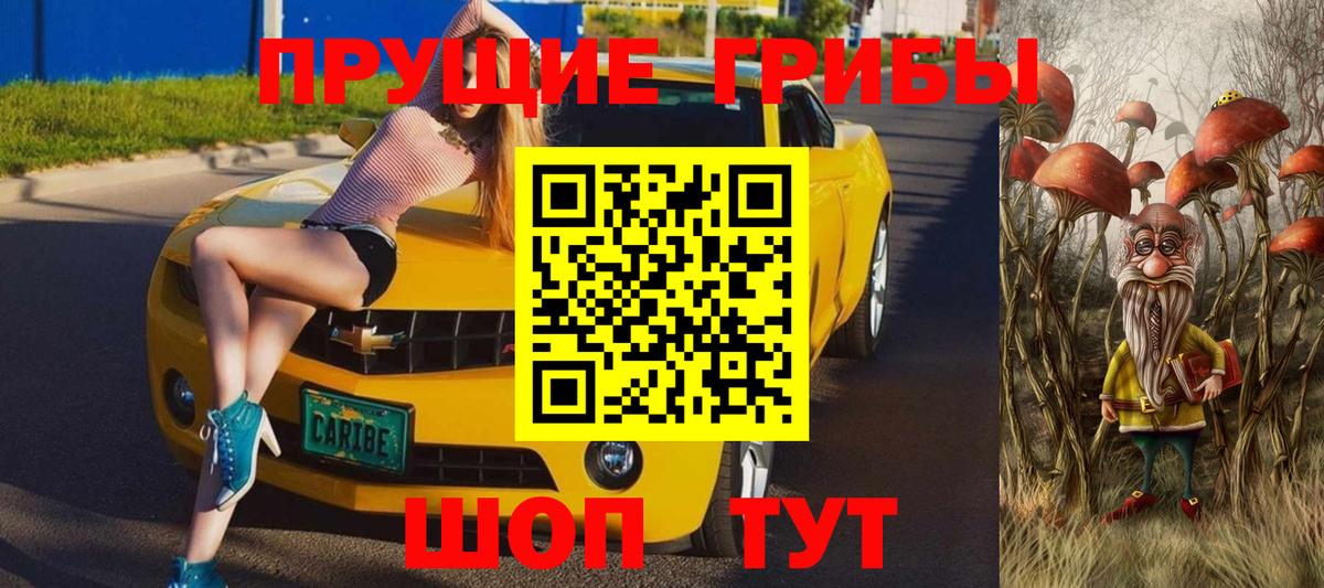Псилоцибиновые грибы GOLDEN TEACHER Калуга