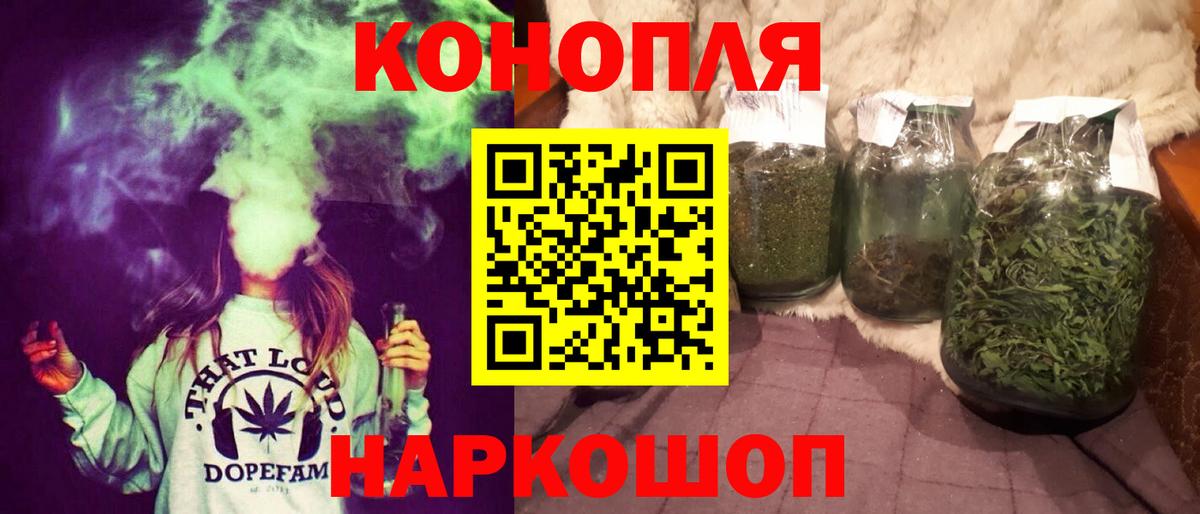 Бошки Шишки планчик Калуга